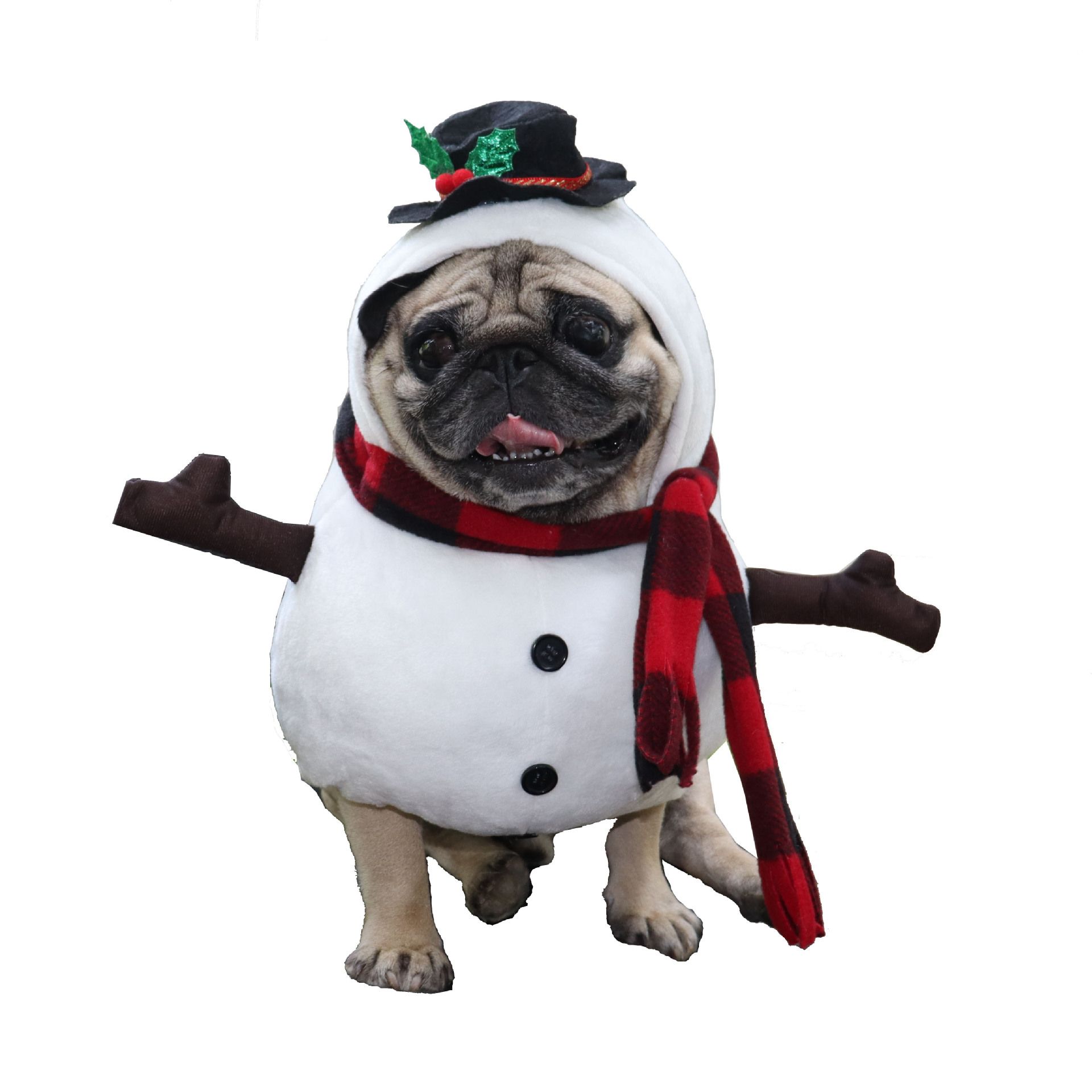 Pet Snowman Costume Odd Pet Transformation Outfit Cloth Snowman Stand-up view 6