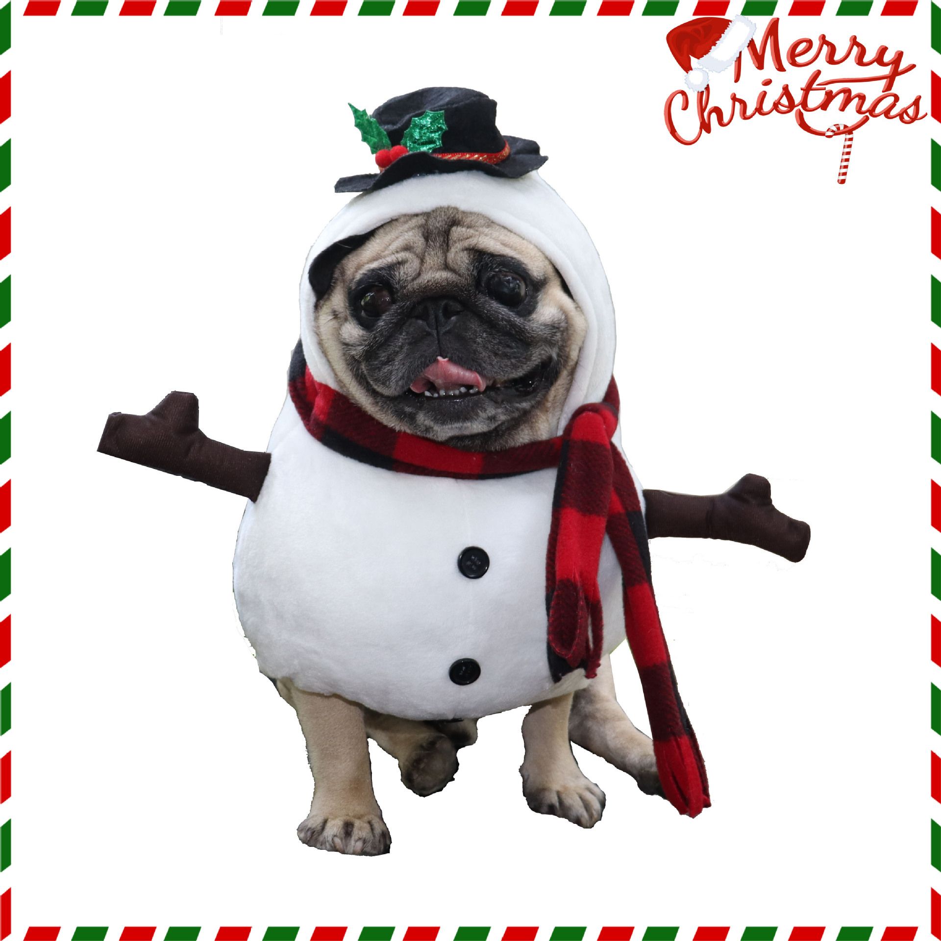 Pet Snowman Costume Odd Pet Transformation Outfit Cloth Snowman Stand-up L view 3