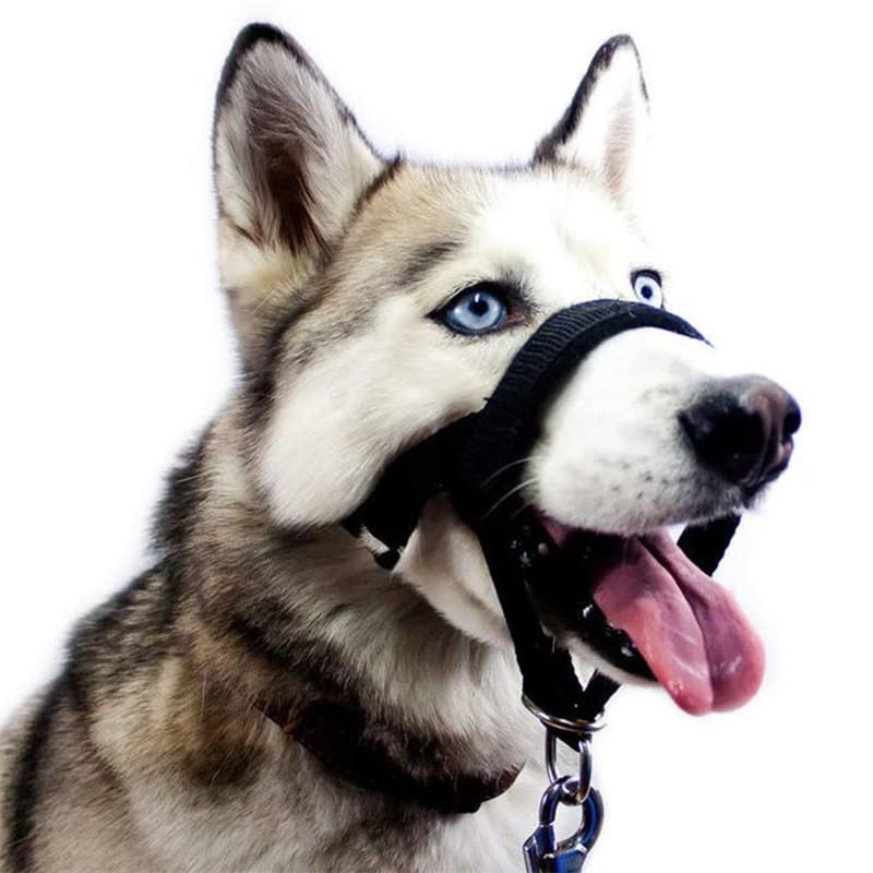 EXMOOR Nylon Dog Muzzle Adjustable Anti Bite. Black-ordinary XXL view 4