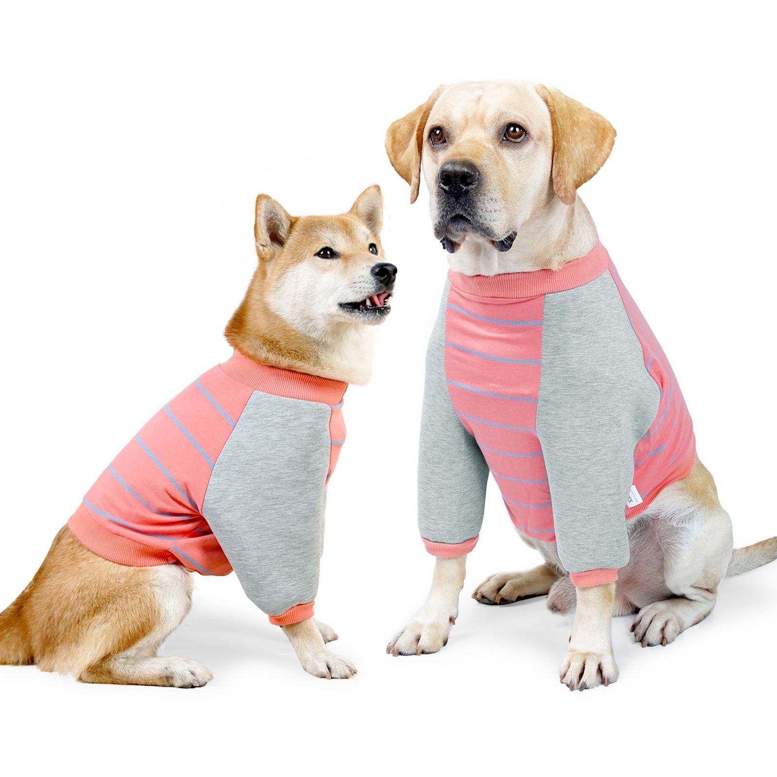 Cotton Dog Elbow Protection Clothing DOTON Family Black stripes M bust 50-60 view 2