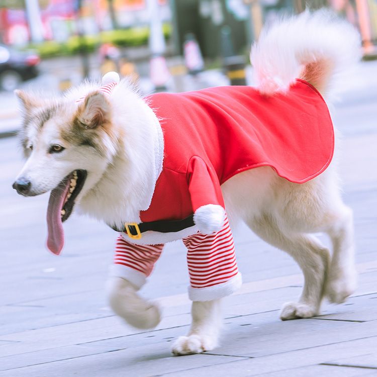 Shine Dog Costume Christmas Fleece Two Piece Standing two-piece set for the view 5