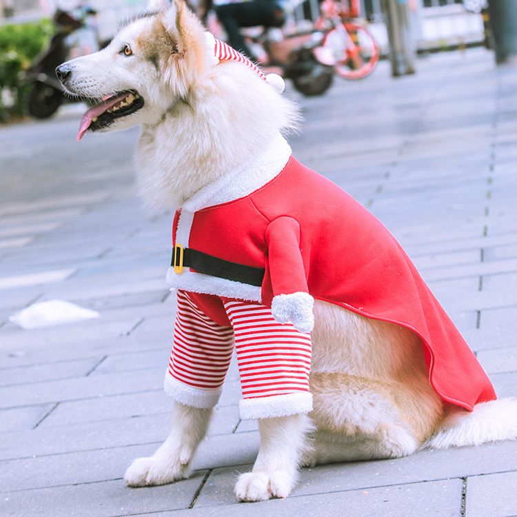 Shine Dog Costume Christmas Fleece Two Piece Standing two-piece set for the view 4