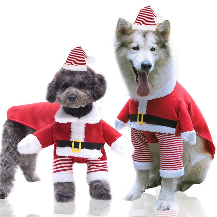 Shine Dog Costume Christmas Fleece Two Piece Standing two-piece set for the view 3