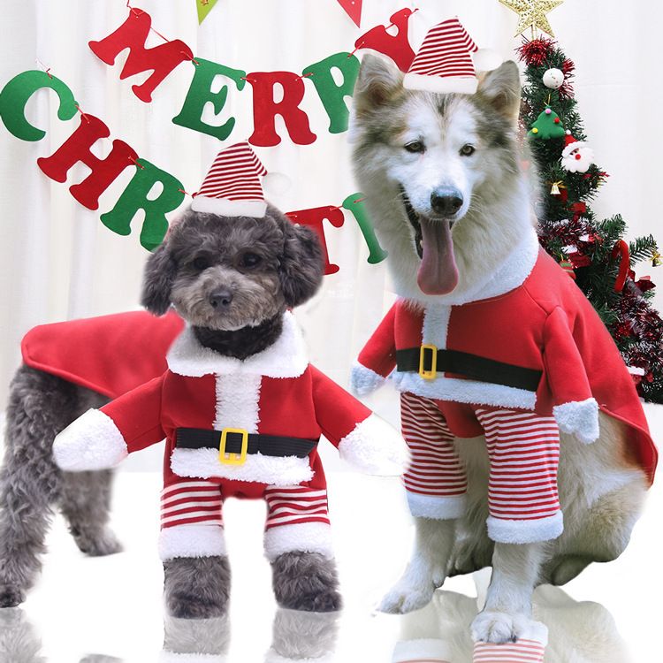 Shine Dog Costume Christmas Fleece Two Piece Standing two-piece set for the view 2