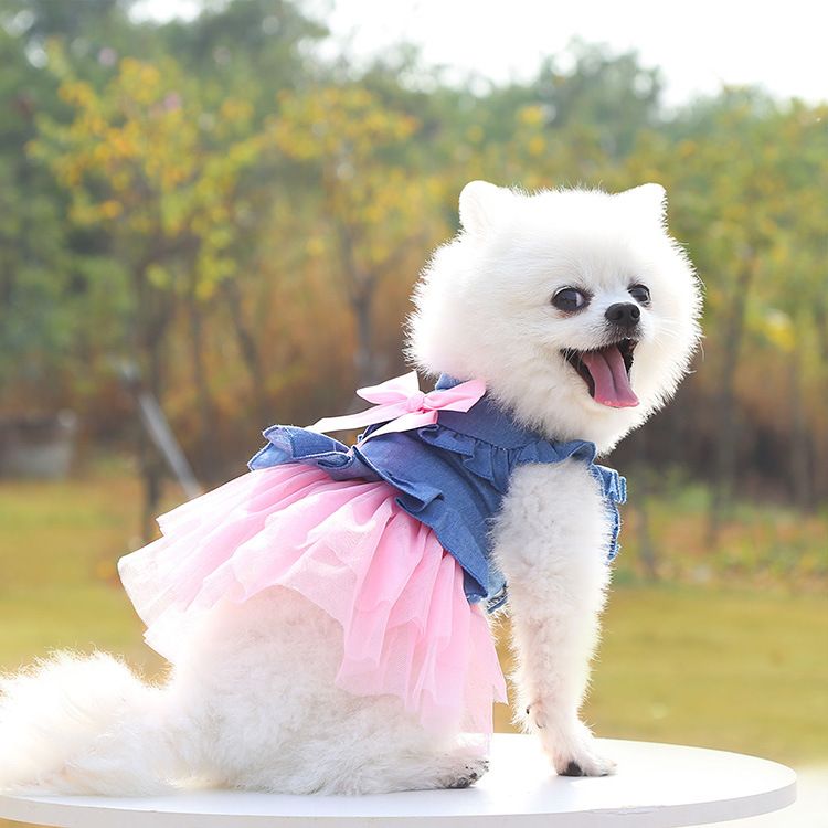 Shine Dog Cat Denim Skirt Princess Style White Yarn-Korean Denim Skirt Spring view 6