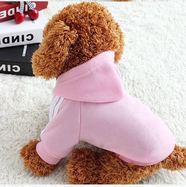 Shine Pet Sweatshirt Cotton Casual Style two legs adog gray XXL (bust 52CM view 4