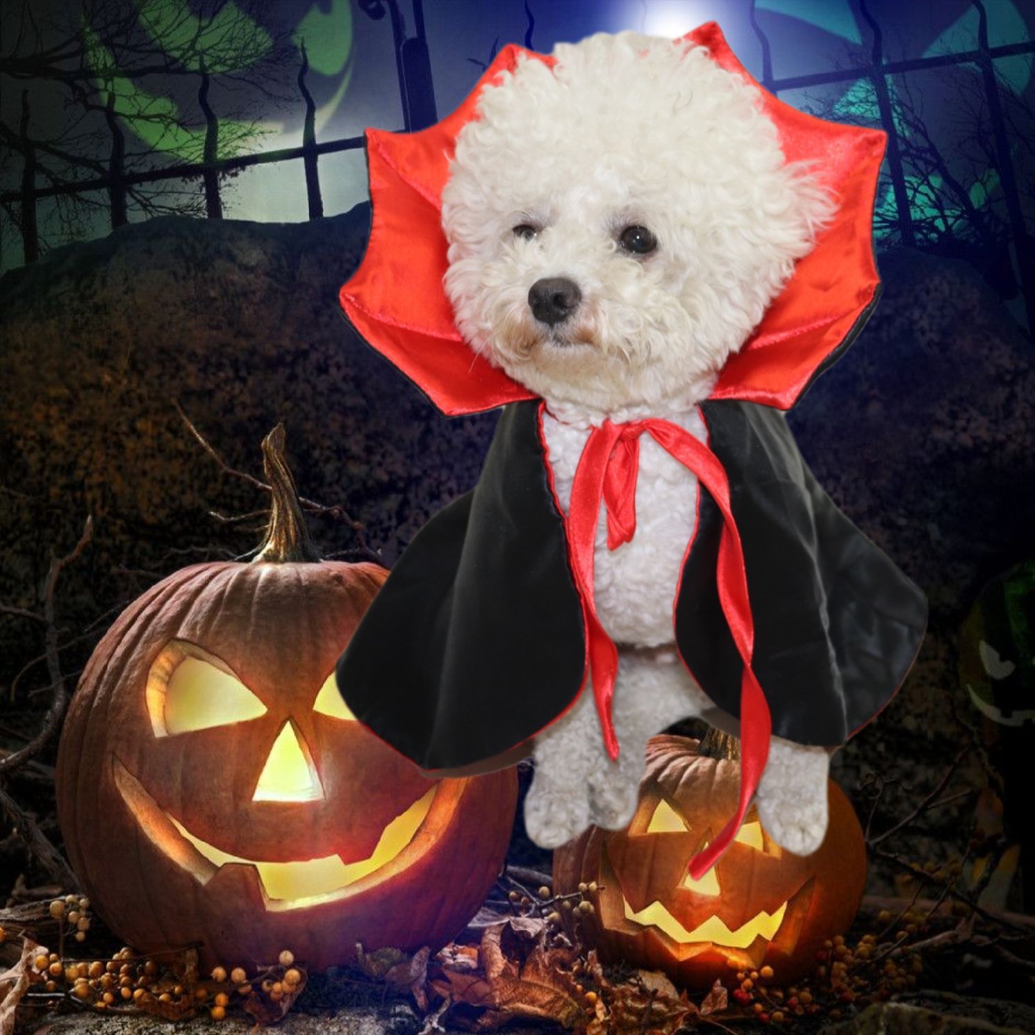 Pet Cape Halloween Cat Dog Adjustable Cloth Pentagram Cape Free size view 3