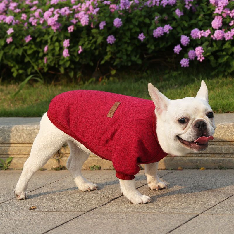 Pet Sweatshirt for Dogs and Cats by shine New Size Classic Sweat Burgundy M — image 1