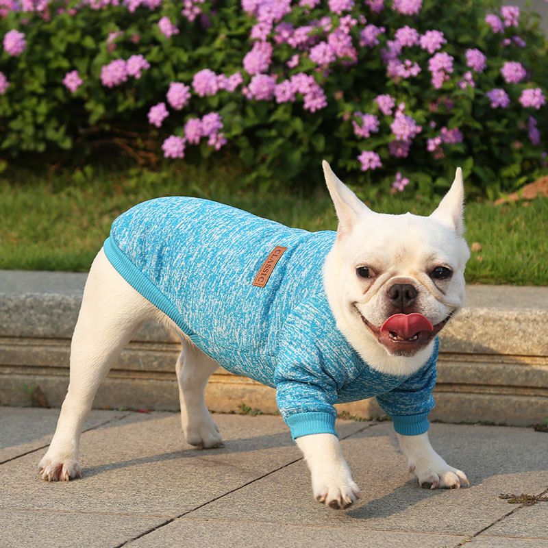 Pet Sweatshirt for Dogs and Cats by shine New size classic sweater big red 2XL view 3