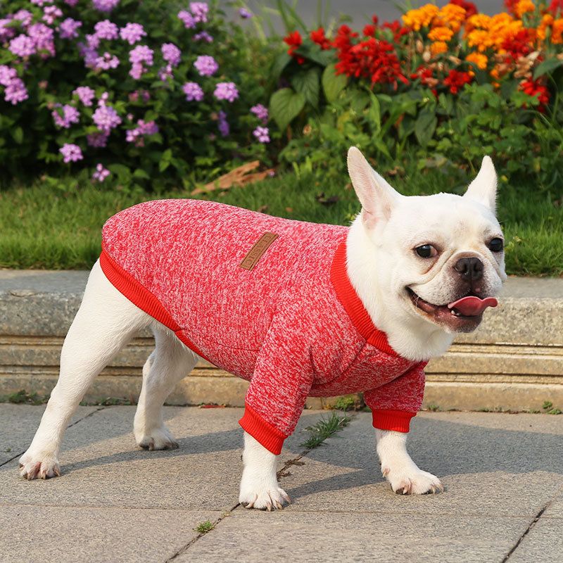 Pet Sweatshirt for Dogs and Cats by shine New size classic sweater navy blue view 3
