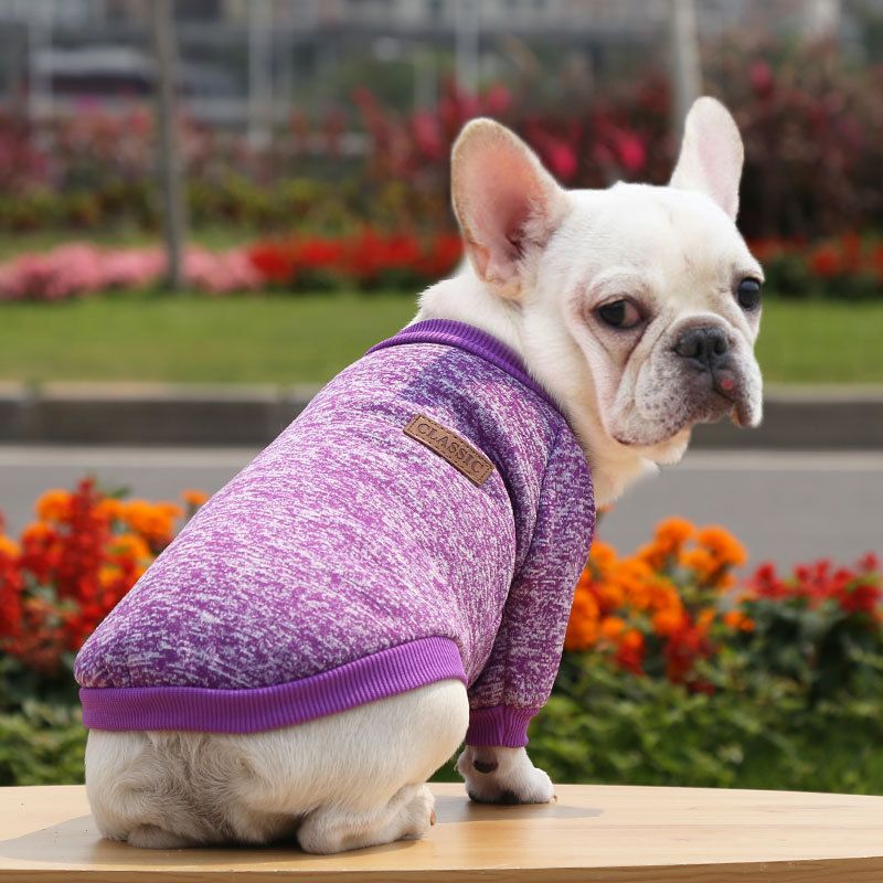 Pet Sweatshirt for Dogs and Cats by shine New Size Classic Sweat Purple XS — image 1