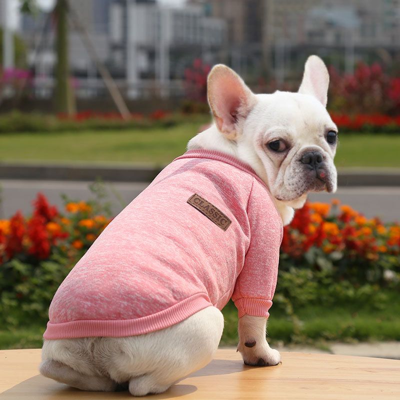 Pet Sweatshirt for Dogs and Cats by shine New size classic sweater navy blue L view 6