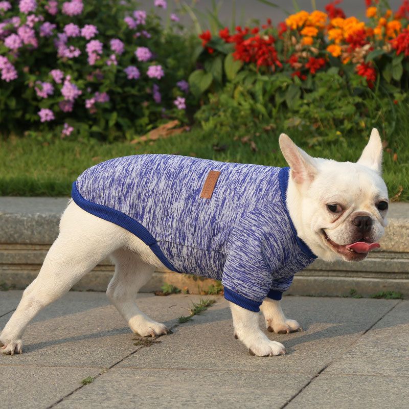 Pet Sweatshirt for Dogs and Cats by shine New size classic sweater big red L view 4