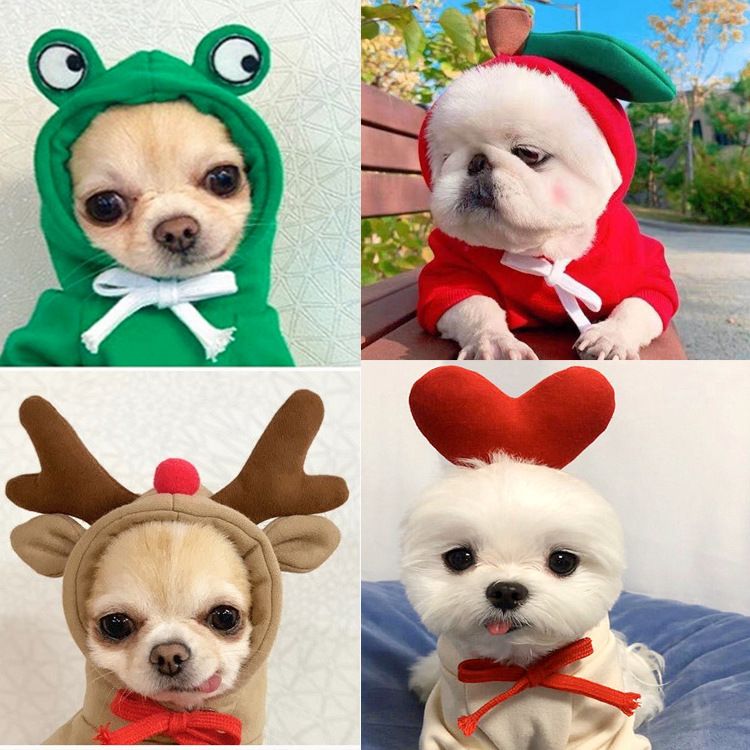 Shine Pet Hoodie Dog Cat Fruit Design Drawstring white radish M (bust 44CM view 2