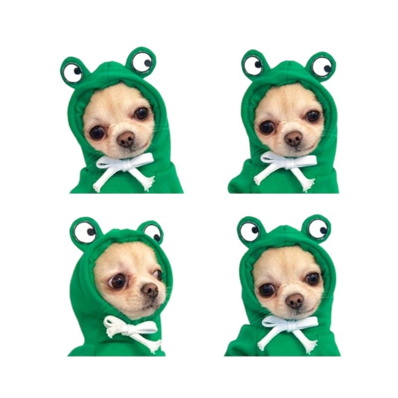 Shine Pet Hoodie Dog Cat Fruit Design Hooded two-legged hoodie green frog M view 6