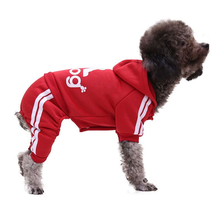 Shine Pet Dog Cat Clothes Sweatshirt four-legged adog sweatshirt yellow M view 6
