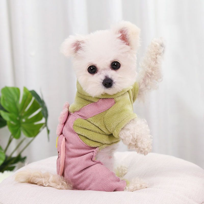 shine Corduroy Four Leg Dog Clothes for Small Dogs 216 Four Leg Thick Pants view 6