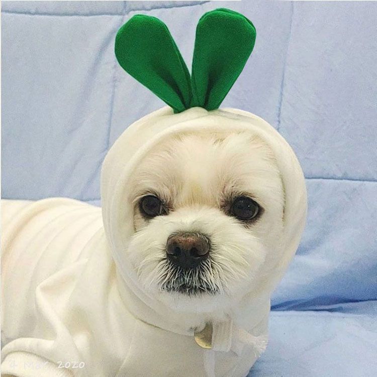 Pet Two Legged Clothes Cotton Fleece Hooded Sweatshirt (drawstring) green frog view 5