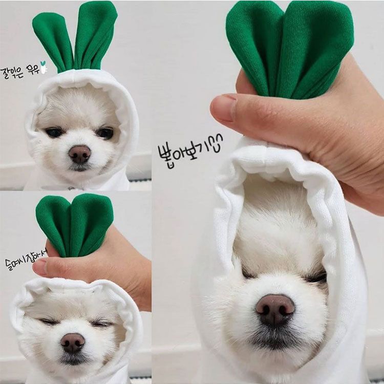 Pet Two Legged Clothes Cotton Fleece Hooded Sweatshirt (drawstring) white view 2