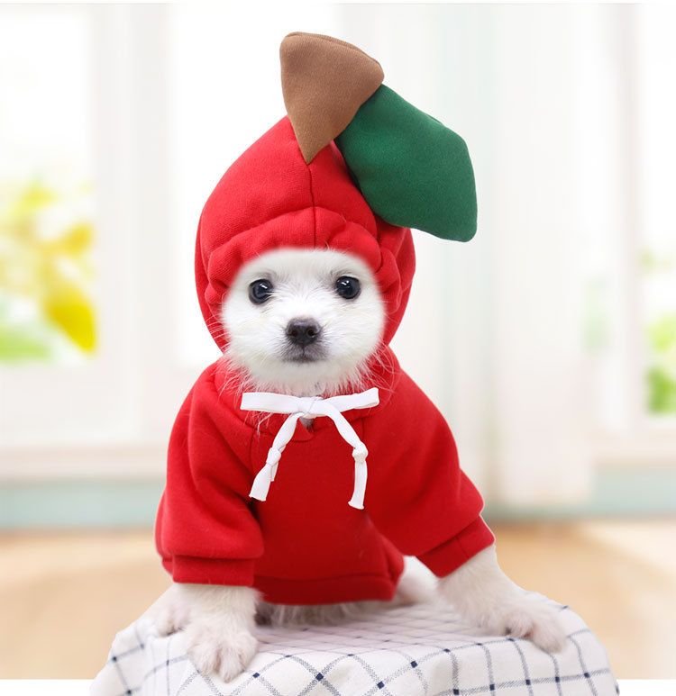 Pet Two Legged Clothes Cotton Fleece Hooded Sweatshirt (Drawstring) Red Apple — image 1