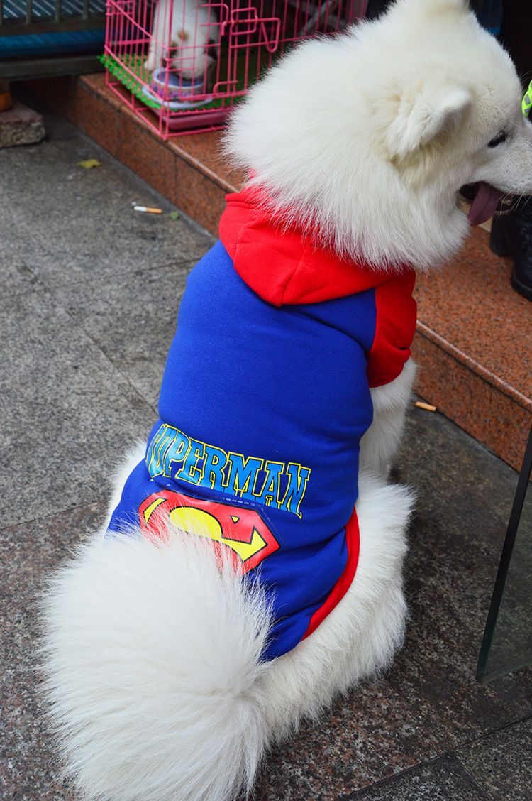 Pet Hoodie Sweatshirt Shine Superman Cotton Hooded Superman Blue 4XL (Bust 64CM) — image 1