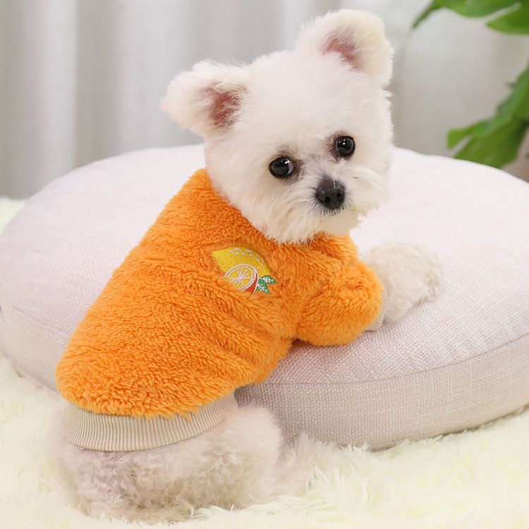Shine Two Legged Dog Cat Winter Warm Pet Clothing Big red small watermelon view 4