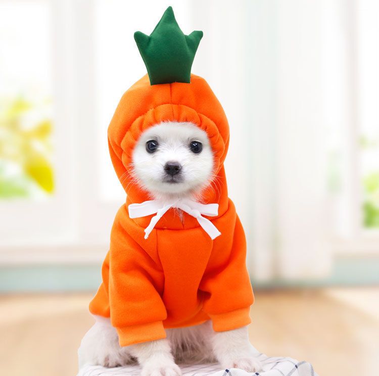 Shine Pet Dog Sweatshirt Heart Design Cloth Drawstring Carrot Sweat XL (bust — image 1