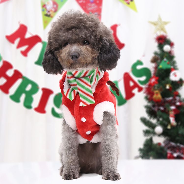 Flannel Dog Clothes Christmas Antlers Small Medium (Send scarf) two-leg hooded view 5