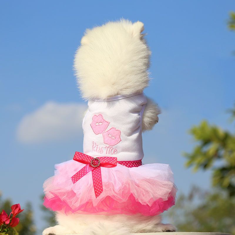 Pet Dress Shine Cotton Lip Skirt Lip skirt blue XS (bust 30CM recommended view 6