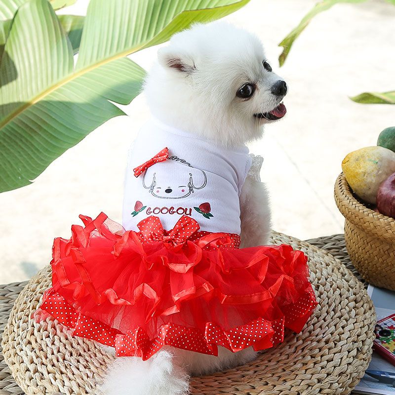 Shine Pet Fruit Dress Cotton Fruit tutu green S (bust 35CM recommended weight view 4