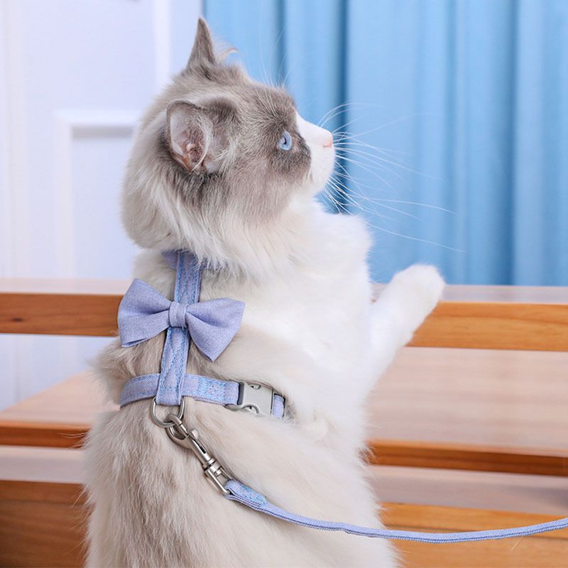 Cat Harness Polyester Bow Anti Escape Pet Leash Blue (Yugui Dog) I-back M view 3