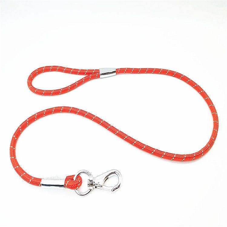 Zichen Nylon Dog Traction Rope Alloy Buckle Pink ( 1.2m + handle) 1.0 view 6
