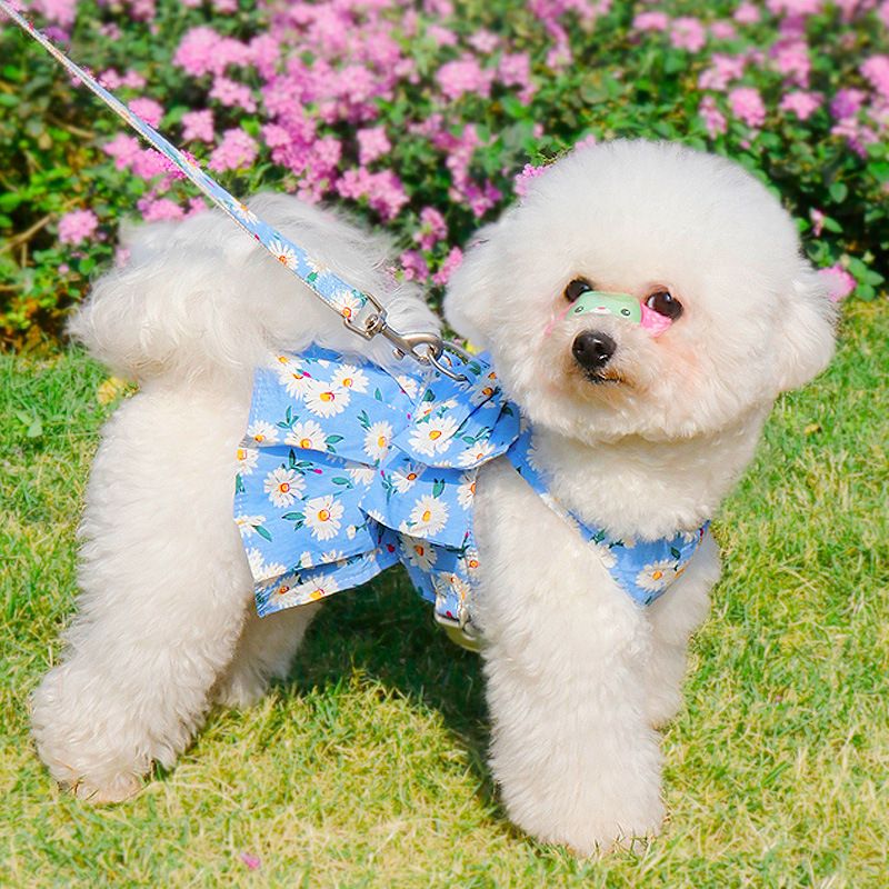 Zichen Vest Pet Harness Dog Cat Traction Rope Jk romantic pink + 1.2m traction view 3