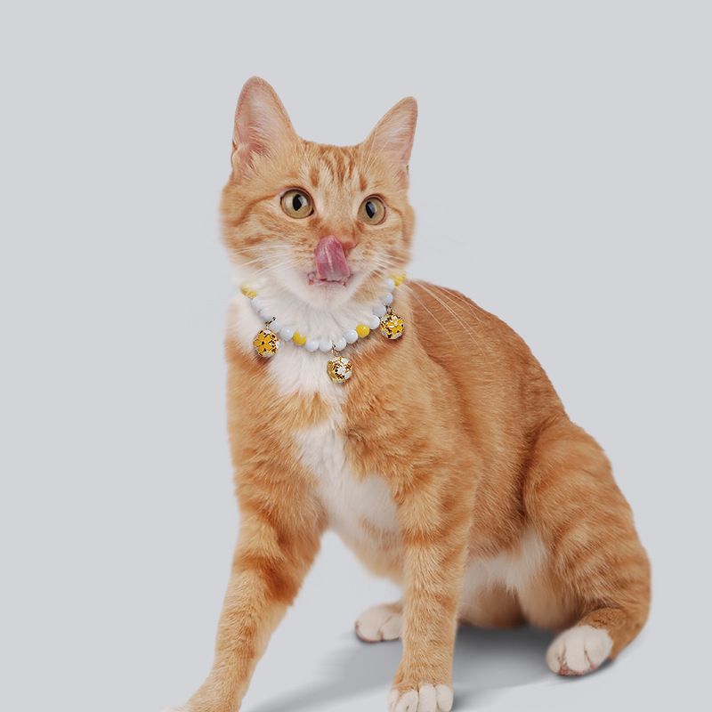 Pet Necklace Pearl Hollow Cat Dog Jewelry 32cm Lake Blue ° Elastic view 2