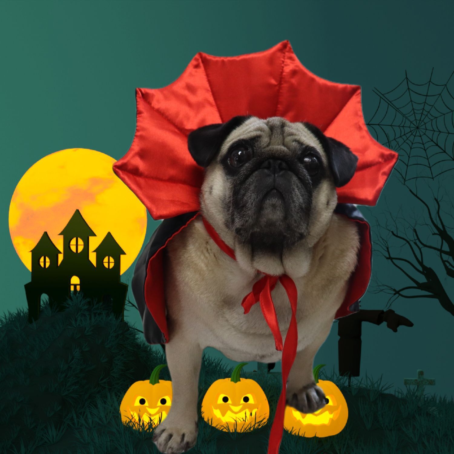 Pet Cape Halloween Cat Dog Adjustable Cloth yellow horn cape Free size view 4