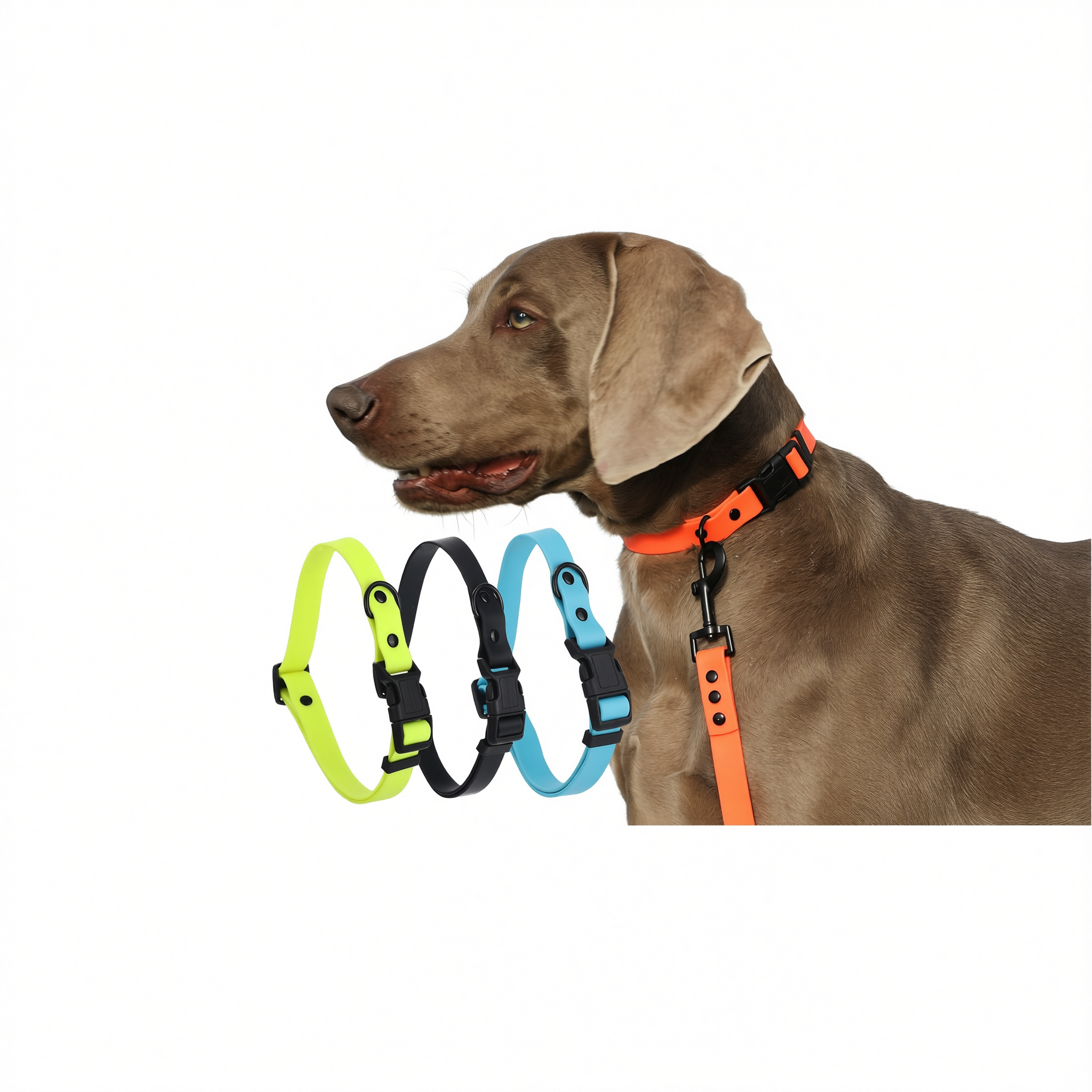 Dog Collar Roommate PVC Adjustable S M L Sky blue M size - recommended for view 2