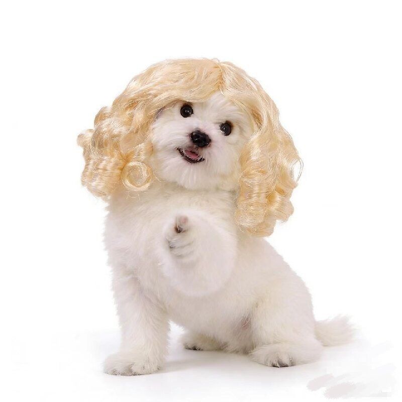 Gan's Liangsi NI Pet Wig Yellow Curly Light yellow view 3