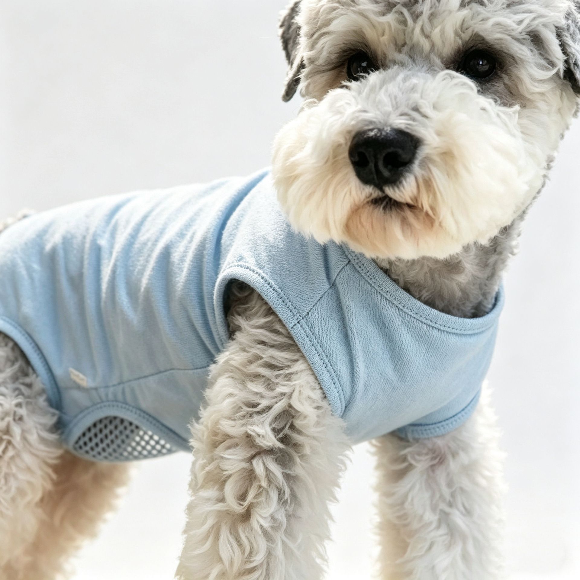 Dog Breathable Coverall Nylon Pet Clothing view 3