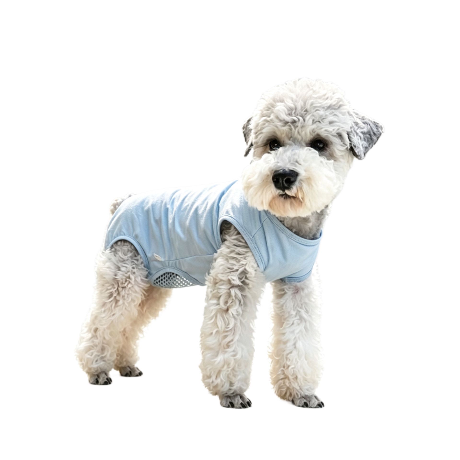 Dog Breathable Coverall Nylon Pet Clothing view 6