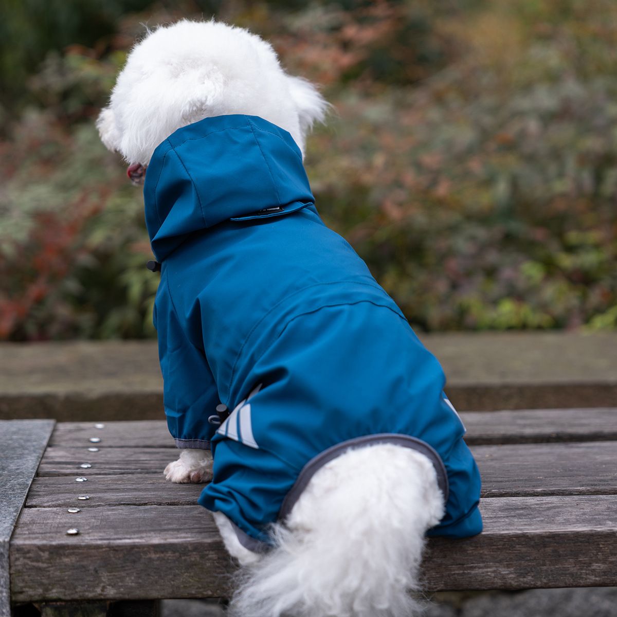 Lelemiao Dog Raincoat Waterproof Four Legs S — image 1