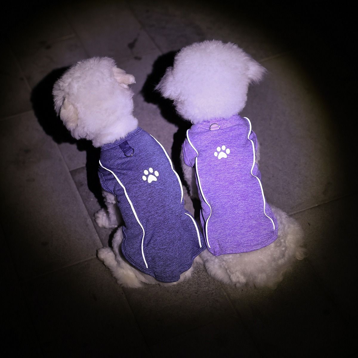 Lele Meow Reflective Vest Dog Clothes Poly Cotton Traction buckle reflective view 4