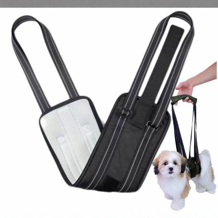 Dog Rear Leg Support Harness Breathable Mesh Upgraded walking auxiliary belt view 3