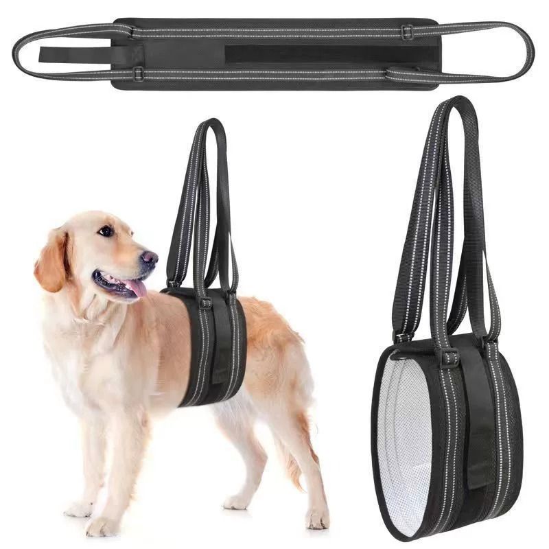 Dog Rear Leg Support Harness Breathable Mesh Upgraded walking auxiliary belt view 2