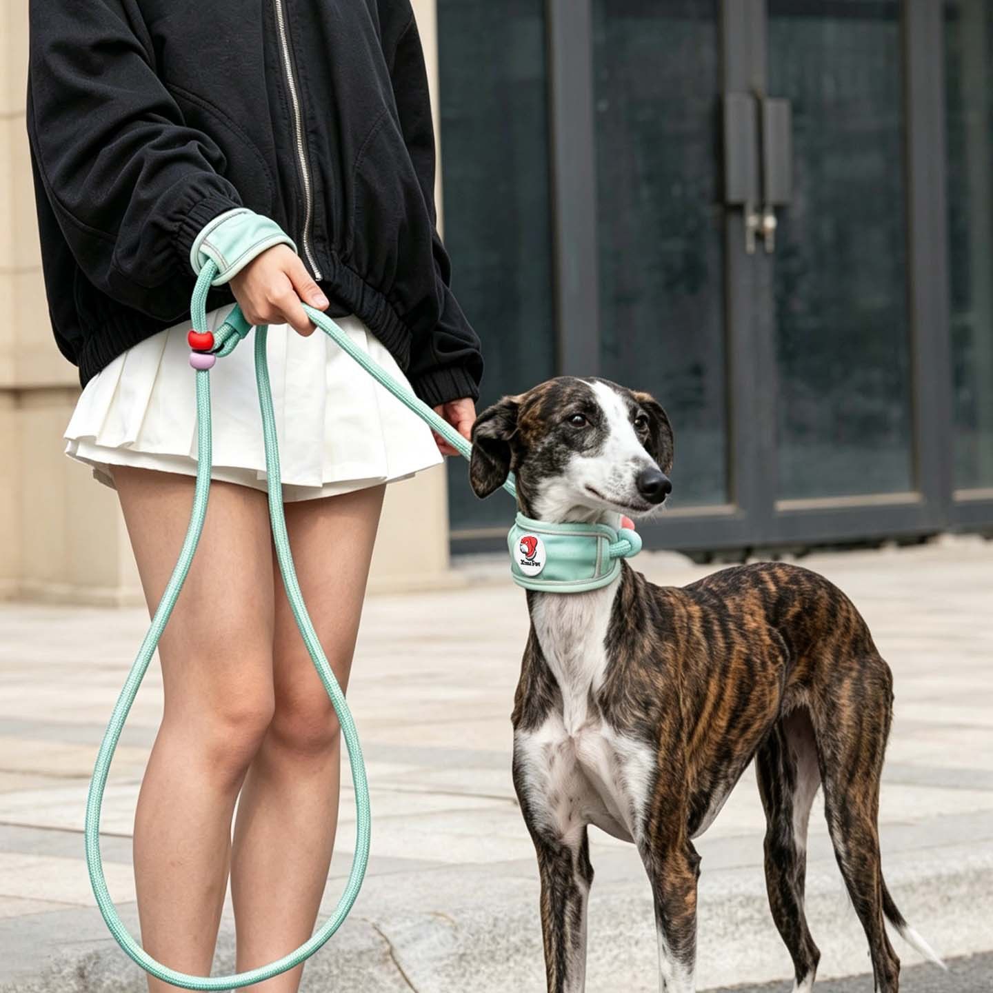 GROW&TAIL Nylon Dog Leash Buffer Handle for Large Dogs view 3