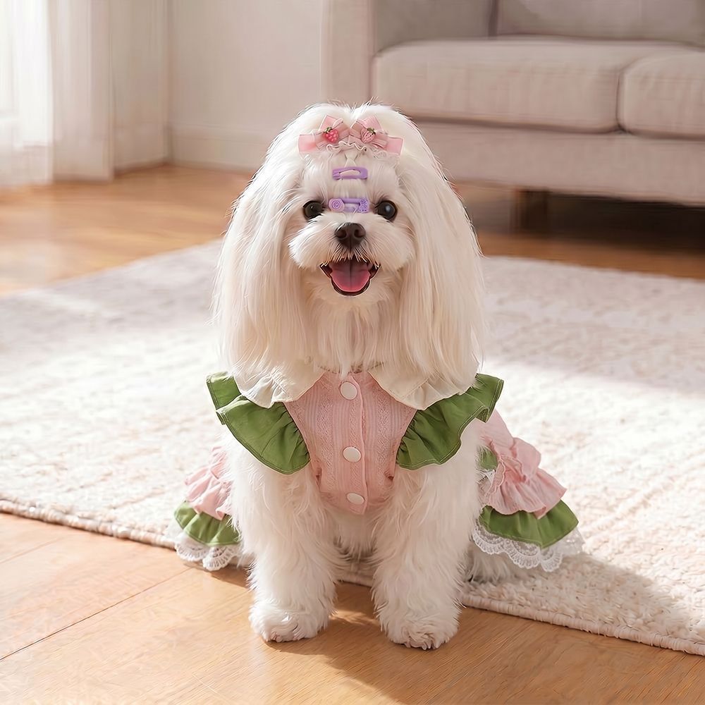 Pet Dress Princess Style Polyester Cotton Spring Summer Party cake skirt M view 2