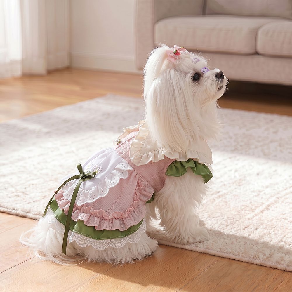 Pet Dress Princess Style Polyester Cotton Spring Summer Party cake skirt M view 3