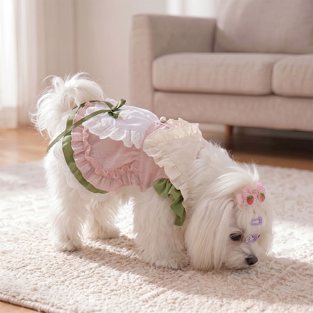 Pet Dress Princess Style Polyester Cotton Spring Summer Party cake skirt M view 4