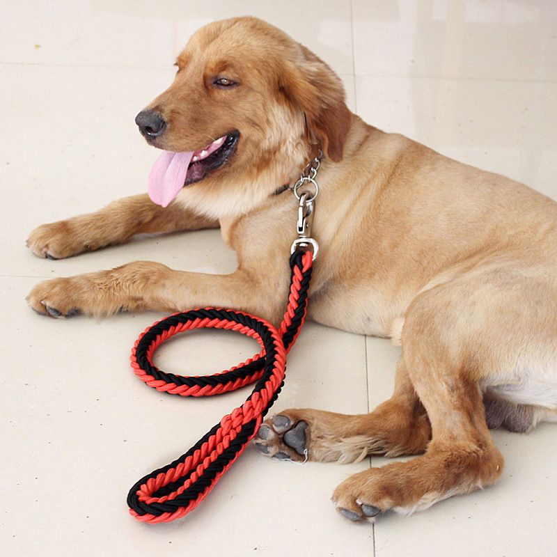 Nylon Dog Leash 8 Strand Braided Pet Walking Rope Black S-rope length 1.3m view 3