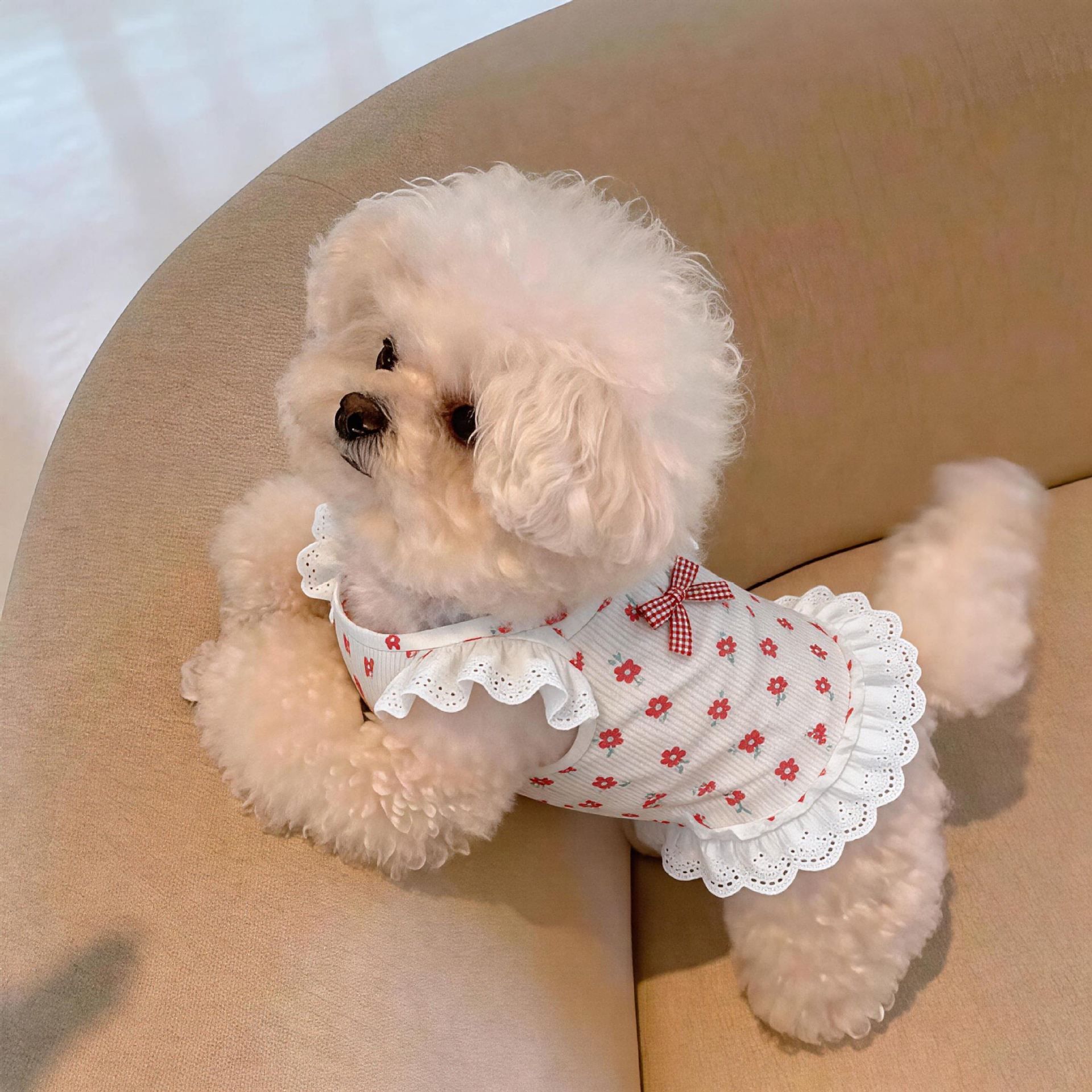 AMOOR Dog Dress Summer Princess Style Pet Clothing Floral Strappy Dress [Pink] L view 4