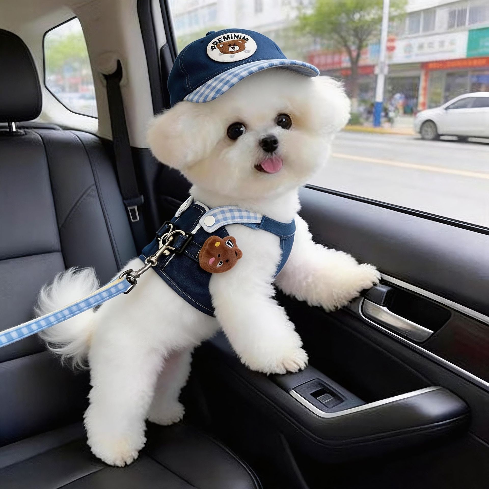 AMOOR Dog Harness Set Breathable Polyester Small Medium Denim Bear Two-Piece view 2